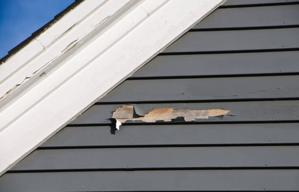 Storm Damage Siding Repair in Gilbert, MN