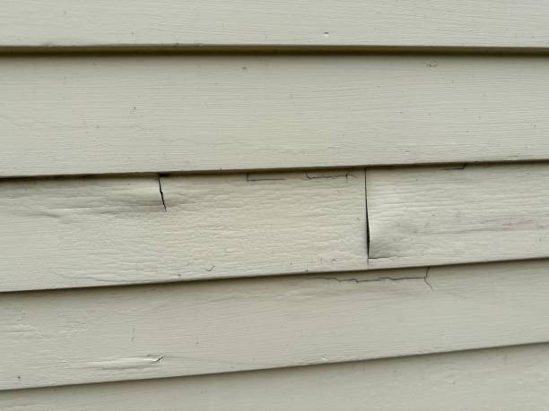 Best Storm Damage Siding Repair  in Gilbert, MN